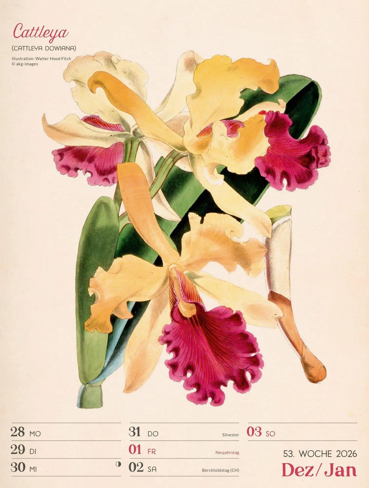 Bild: 9783838437255 | Ars Floralis Wochenplaner Kalender 2027 | Ackermann Kunstverlag GmbH