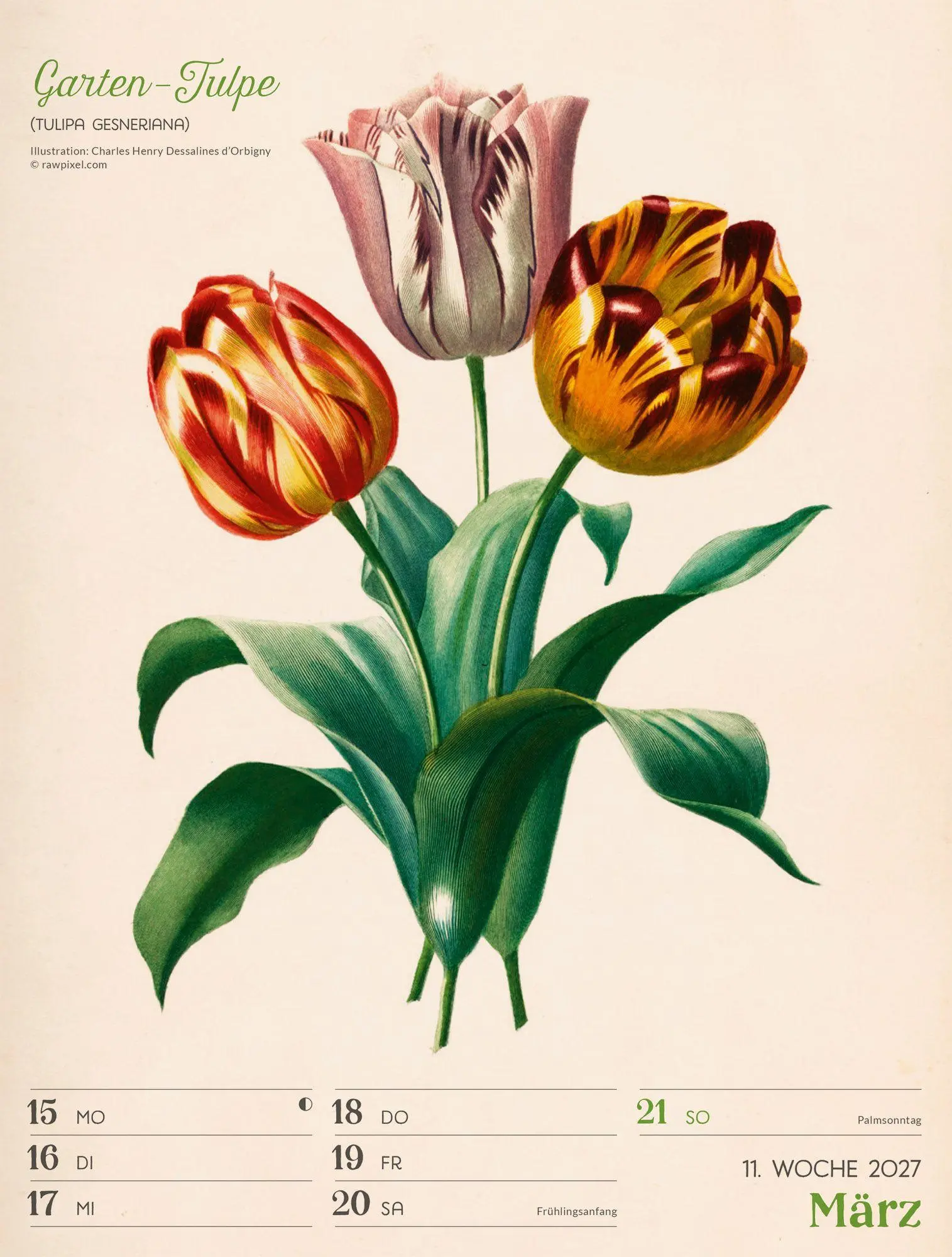 Bild: 9783838437255 | Ars Floralis Wochenplaner Kalender 2027 | Ackermann Kunstverlag GmbH