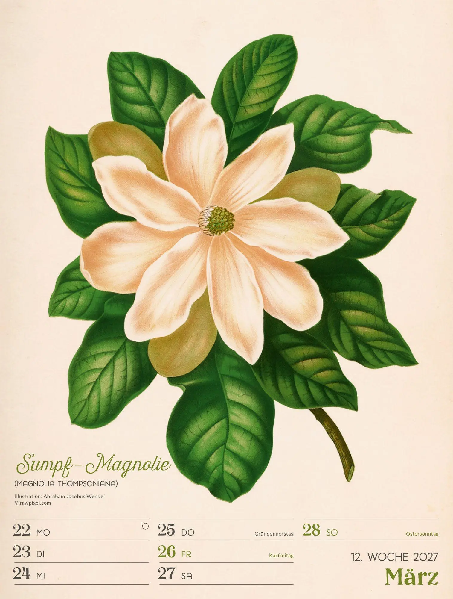 Bild: 9783838437255 | Ars Floralis Wochenplaner Kalender 2027 | Ackermann Kunstverlag GmbH