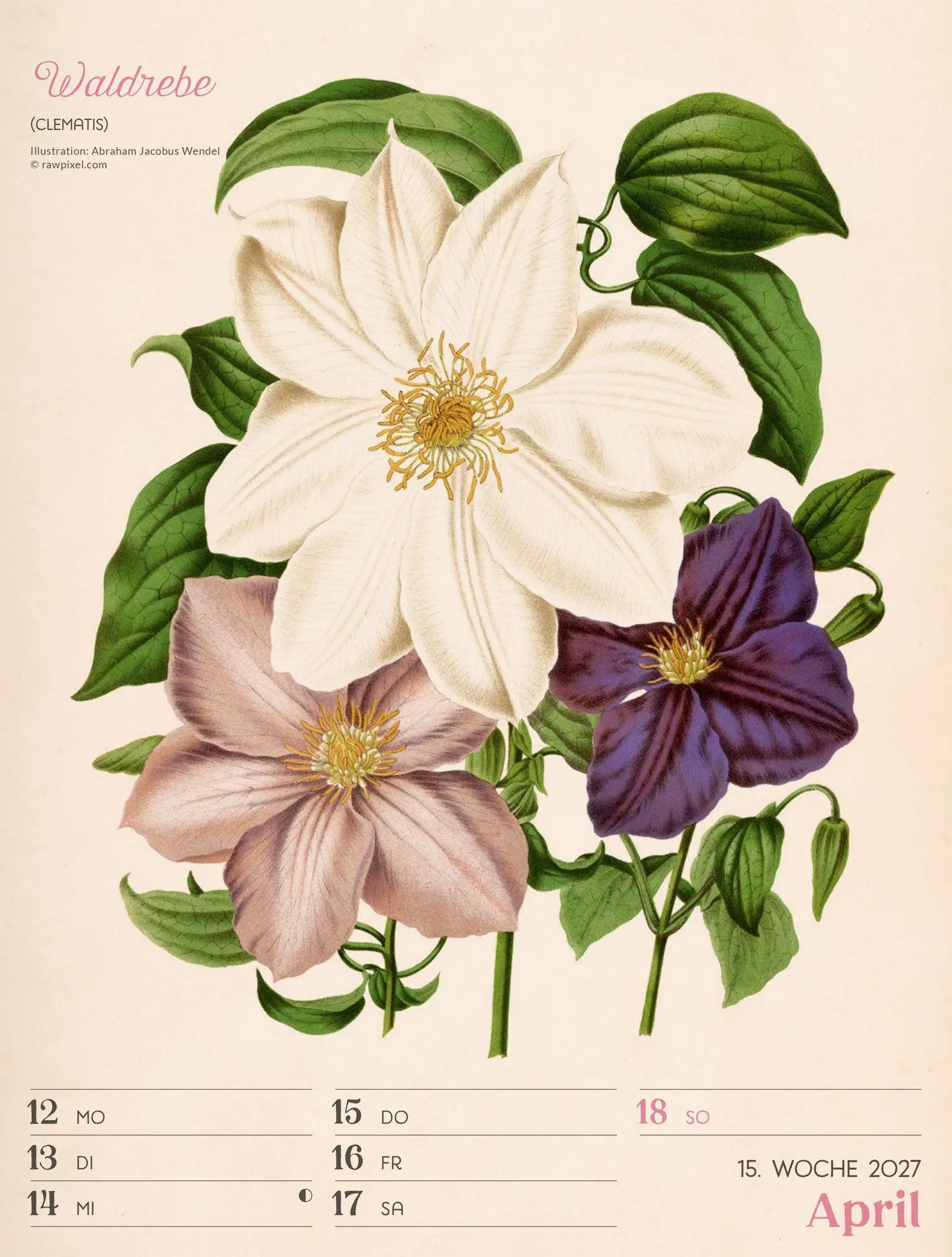 Bild: 9783838437255 | Ars Floralis Wochenplaner Kalender 2027 | Ackermann Kunstverlag GmbH