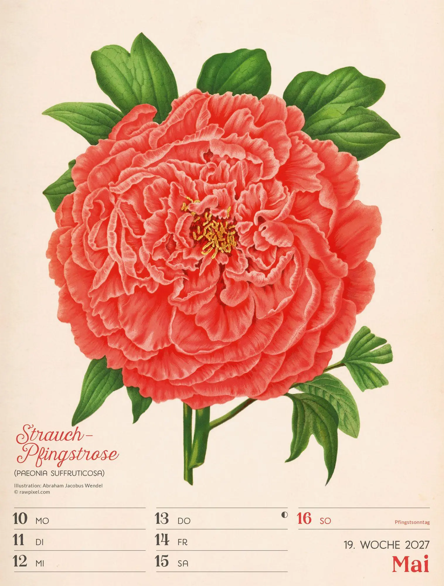 Bild: 9783838437255 | Ars Floralis Wochenplaner Kalender 2027 | Ackermann Kunstverlag GmbH