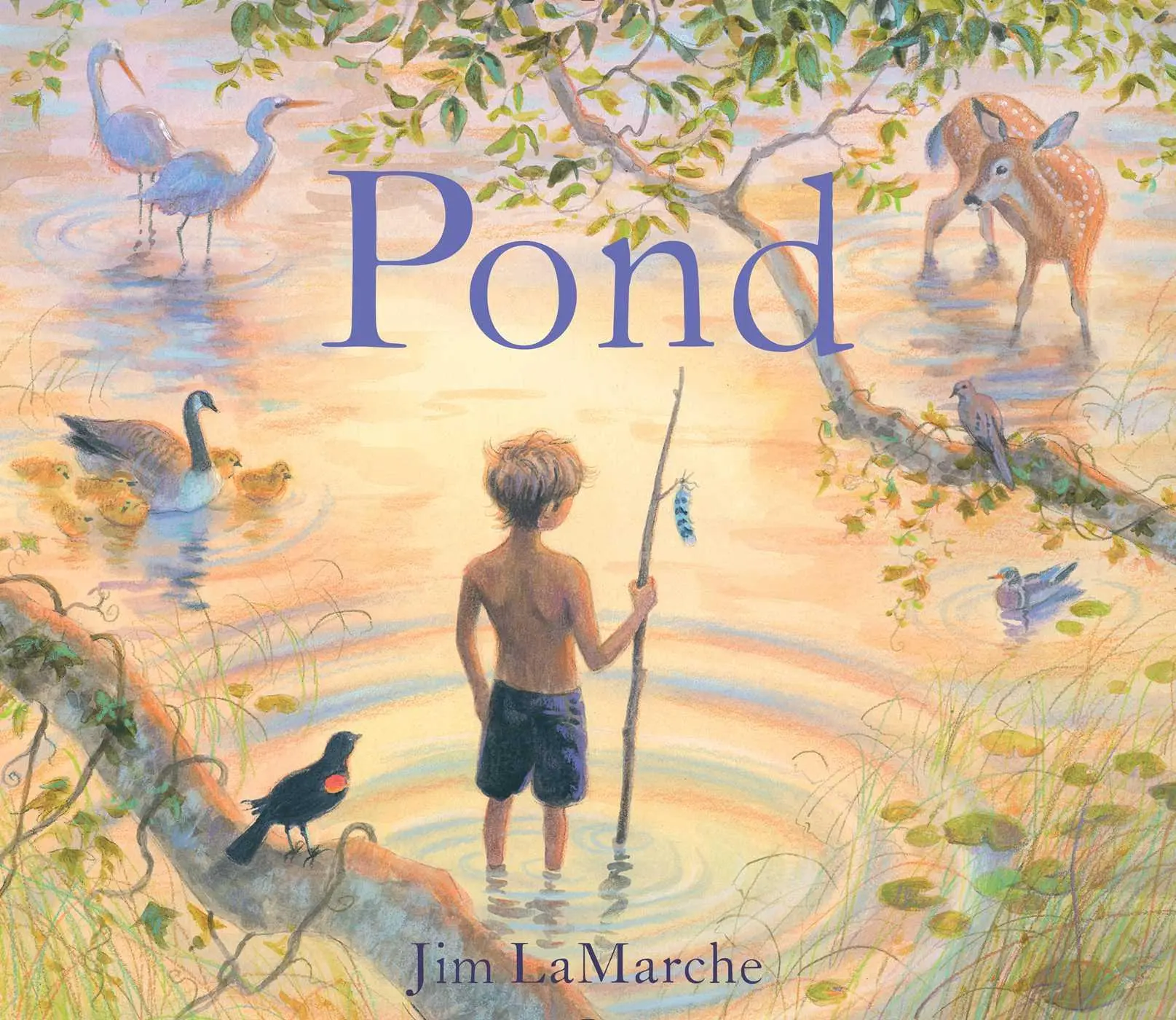 Cover: 9781481447355 | Pond | Jim Lamarche | Buch | Gebunden | Englisch | 2016