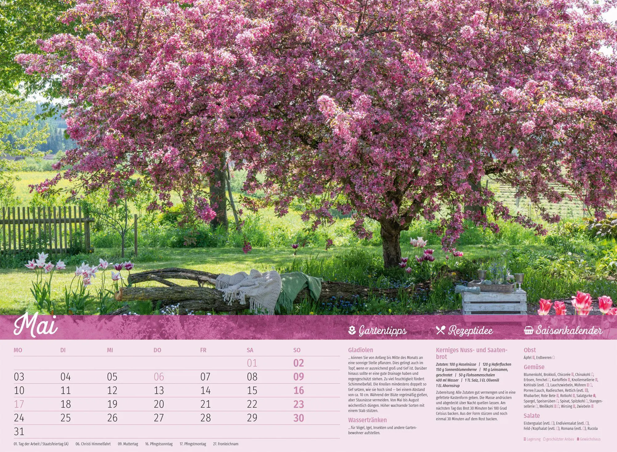 Bild: 9783838427355 | Landliebe Garten-Kalender 2027 | Ackermann Kunstverlag GmbH | Kalender