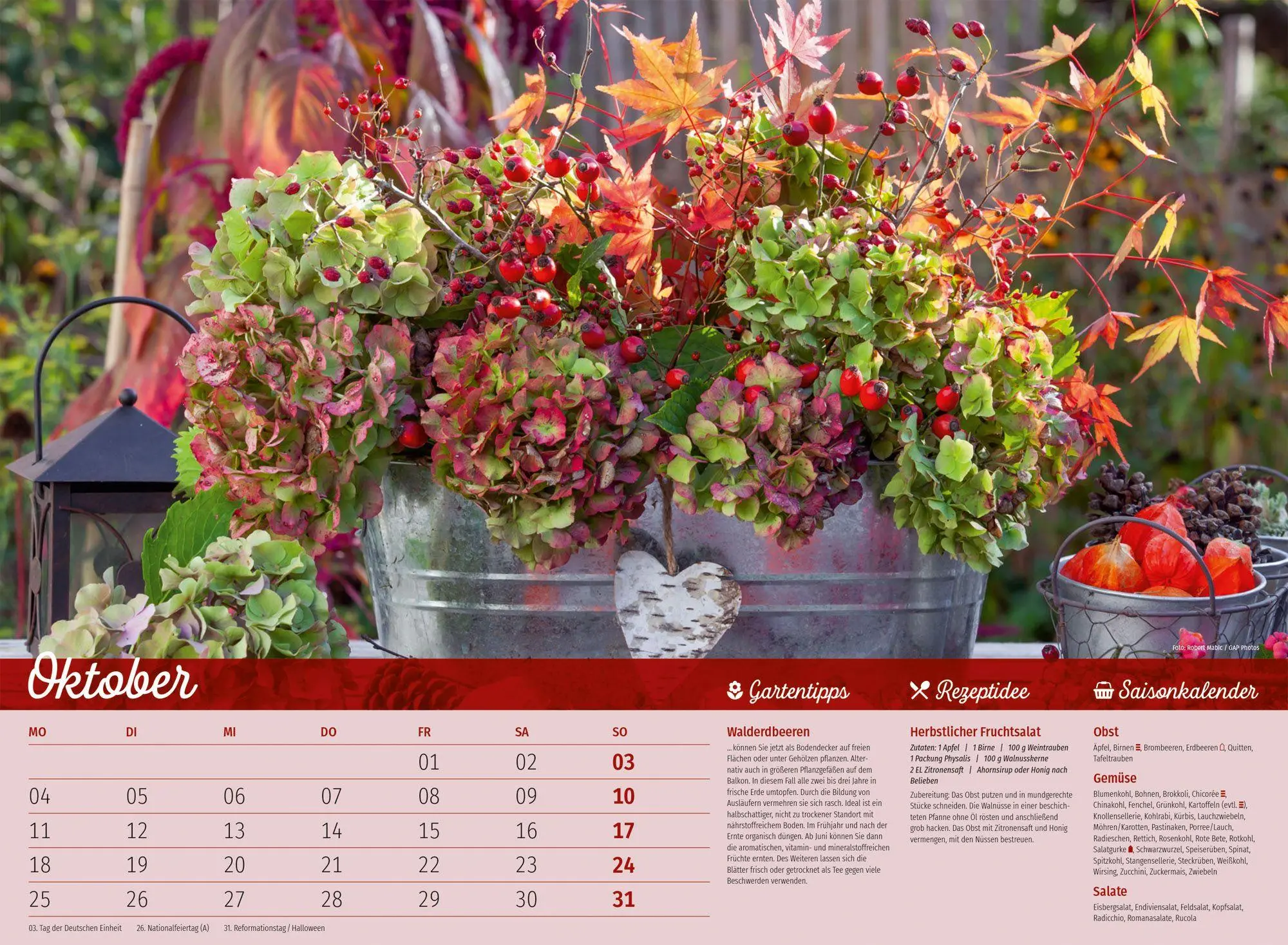Bild: 9783838427355 | Landliebe Garten-Kalender 2027 | Ackermann Kunstverlag GmbH | Kalender