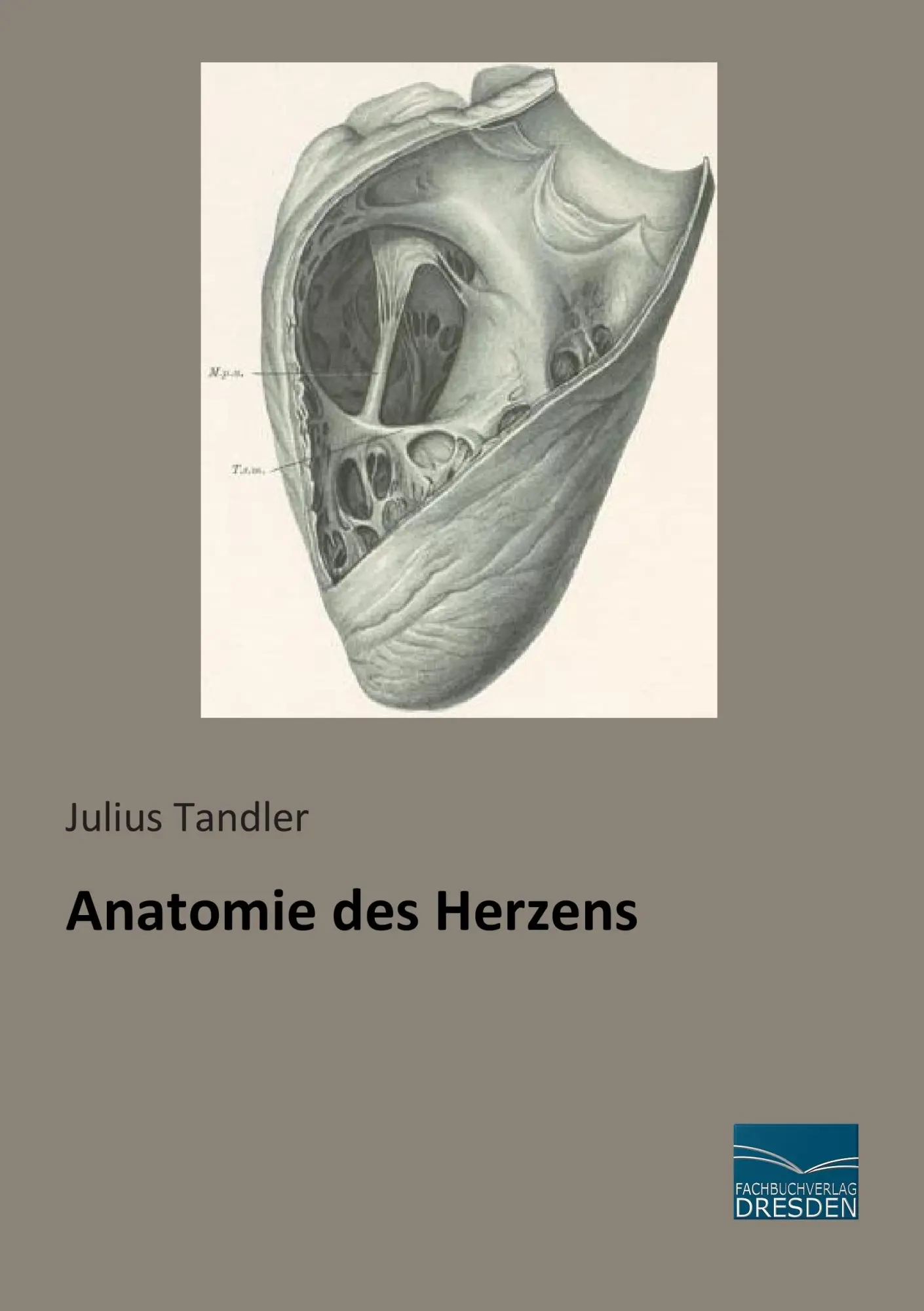 Cover: 9783956927355 | Anatomie des Herzens | Julius Tandler | Taschenbuch | 300 S. | Deutsch
