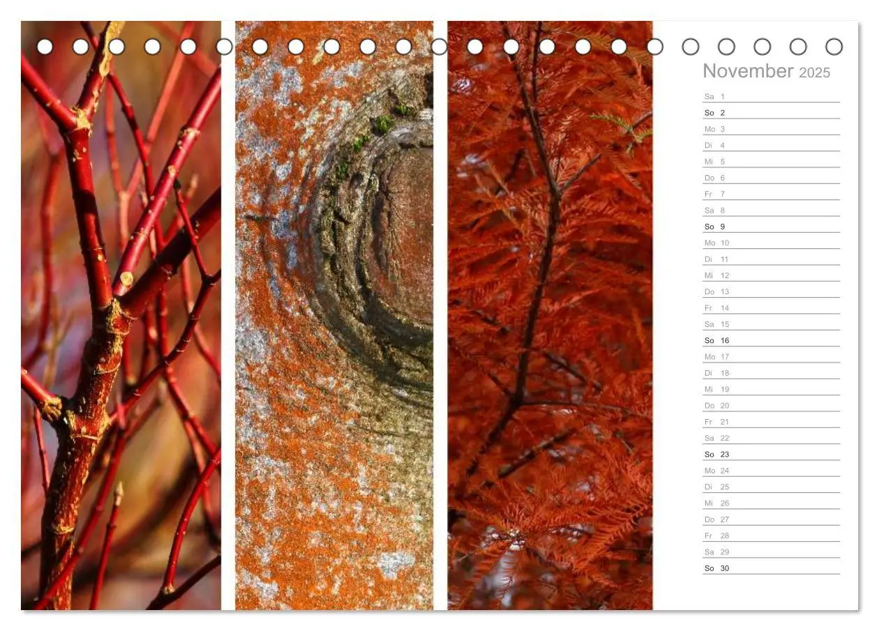 Bild: 9783435627455 | Natürlicher Dreiklang (Tischkalender 2025 DIN A5 quer), CALVENDO...