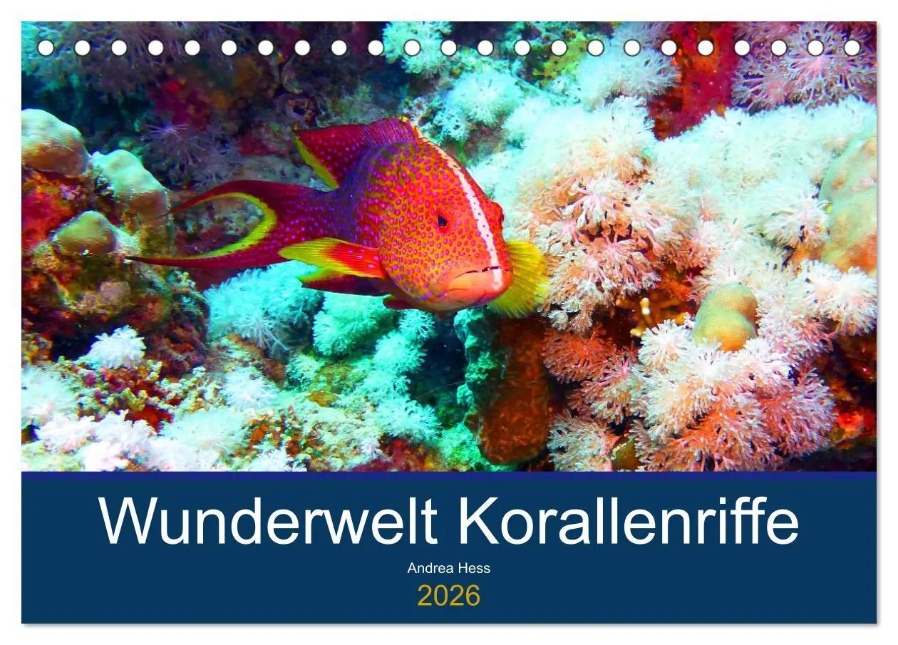 Cover: 9783457717455 | Wunderwelt Korallenriffe (Tischkalender 2026 DIN A5 quer), CALVENDO...