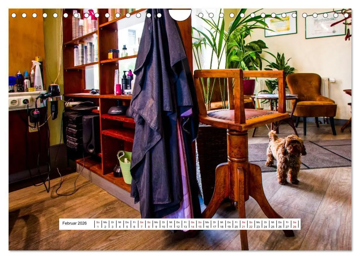 Bild: 9783516667455 | Friseursalons rund um den Globus (Wandkalender 2026 DIN A4 quer),...