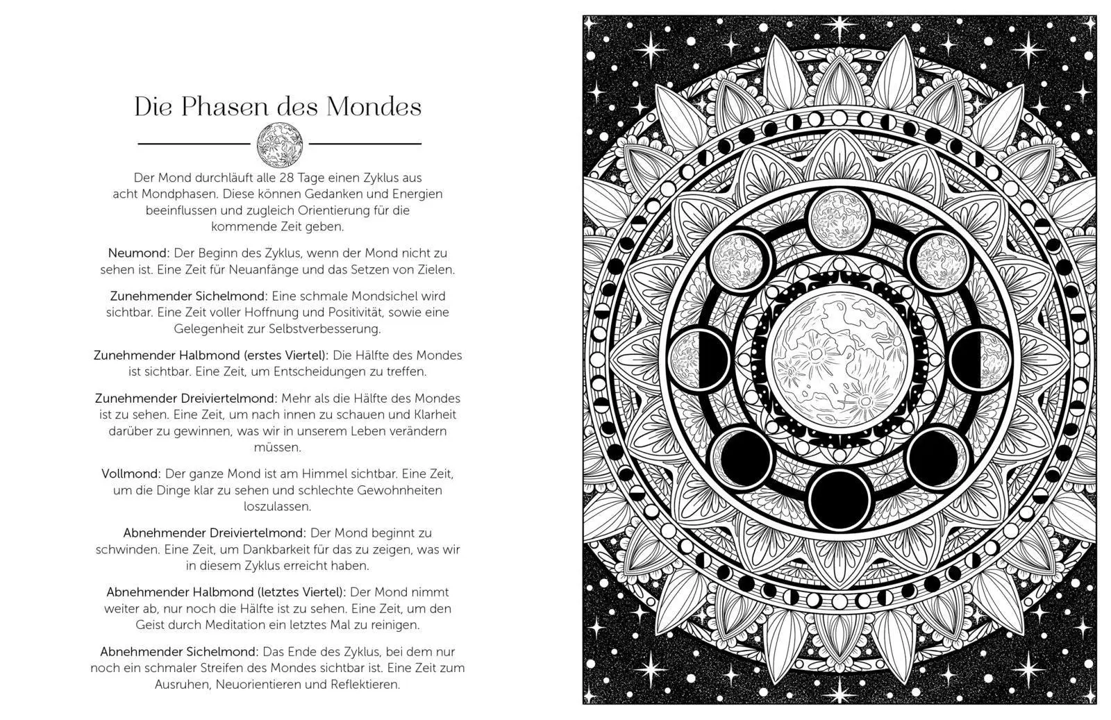 Bild: 9783747407455 | Im magischen Mondlicht | Stratten Peterson | Taschenbuch | 96 S.