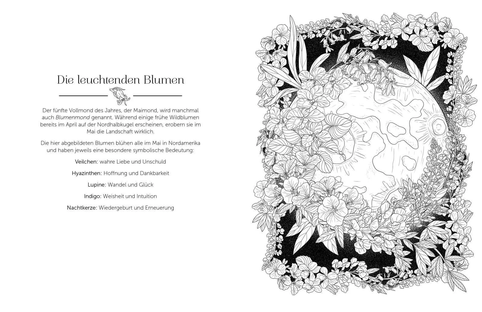 Bild: 9783747407455 | Im magischen Mondlicht | Stratten Peterson | Taschenbuch | 96 S.