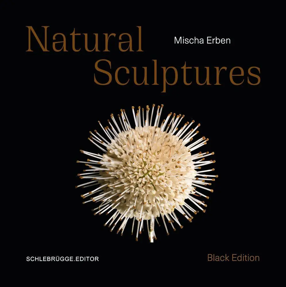 Mischa Erben - Natural Sculptures - Neuware