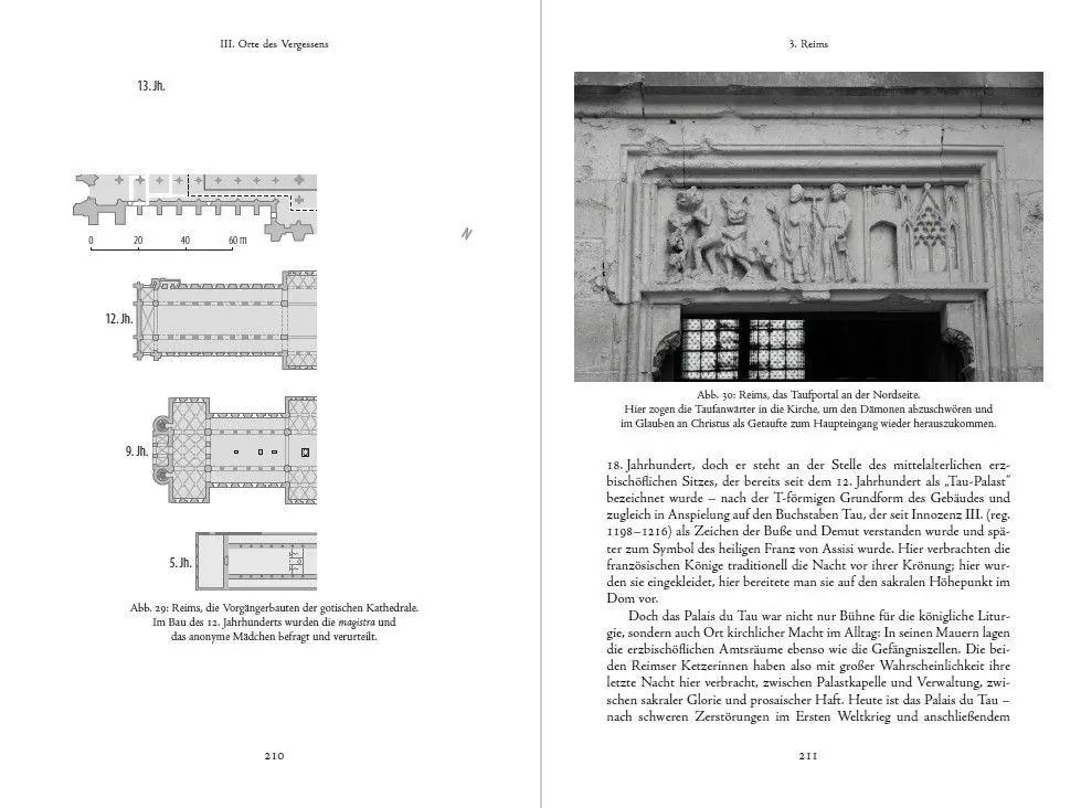 Bild: 9783451387555 | Katharer des Nordens | Daniela Müller | Buch | 304 S. | Deutsch | 2026