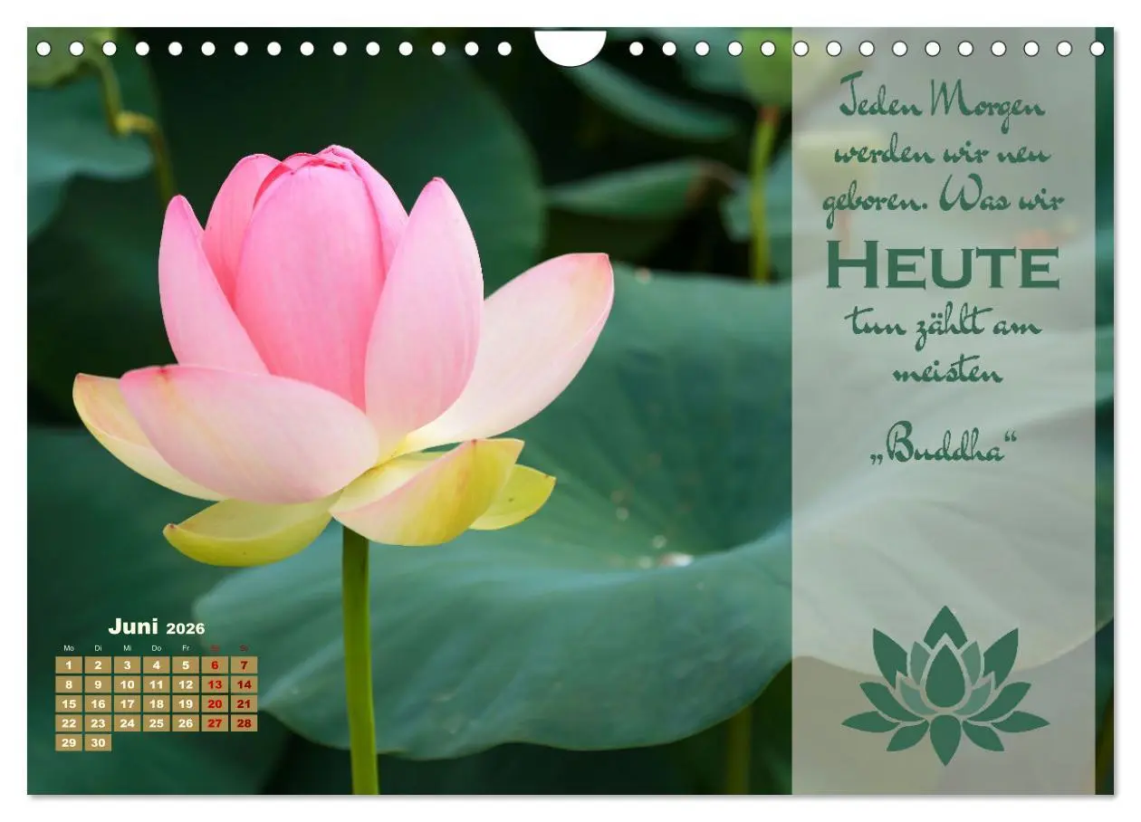 Bild: 9783457557655 | Erleuchtende Worte, Lebensweisheiten von Gautama Buddha by VogtArt...