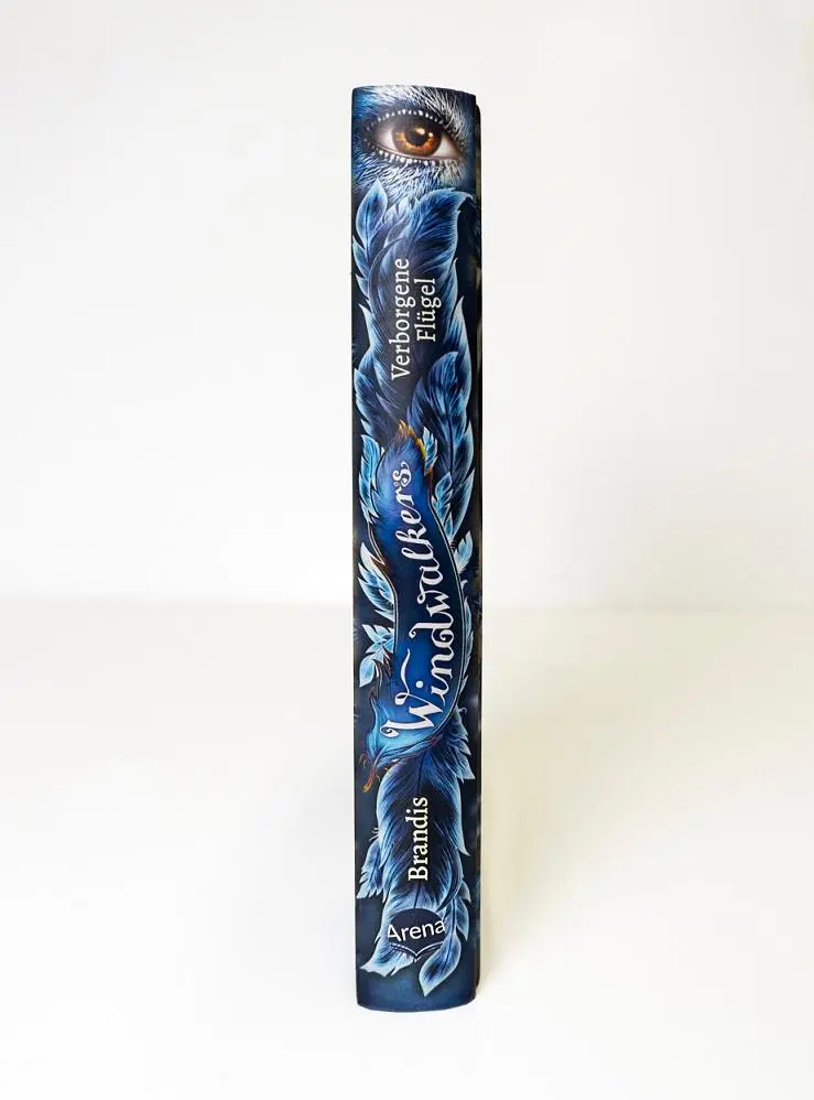 Bild: 9783401607955 | Windwalkers (1). Verborgene Flügel | Katja Brandis | Buch | 344 S.