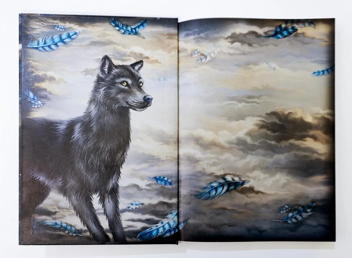 Bild: 9783401607955 | Windwalkers (1). Verborgene Flügel | Katja Brandis | Buch | 344 S.