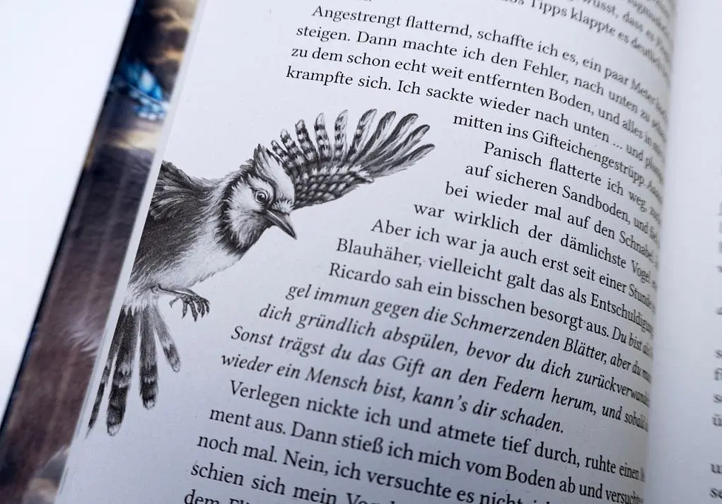 Bild: 9783401607955 | Windwalkers (1). Verborgene Flügel | Katja Brandis | Buch | 344 S.