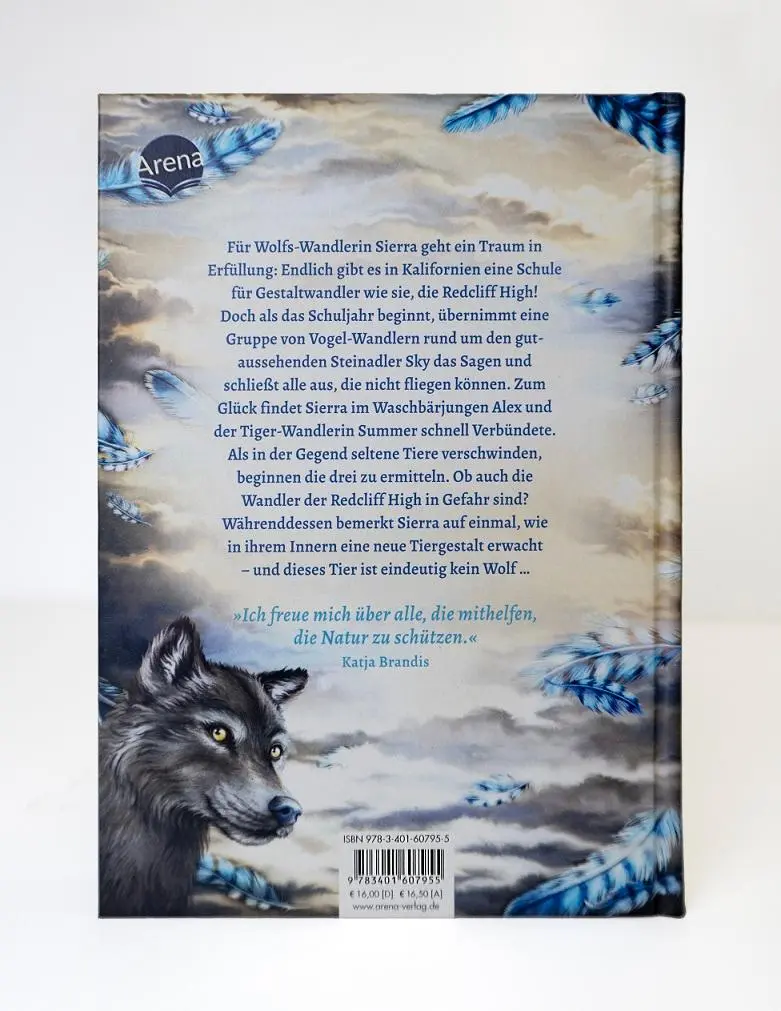 Bild: 9783401607955 | Windwalkers (1). Verborgene Flügel | Katja Brandis | Buch | 344 S.