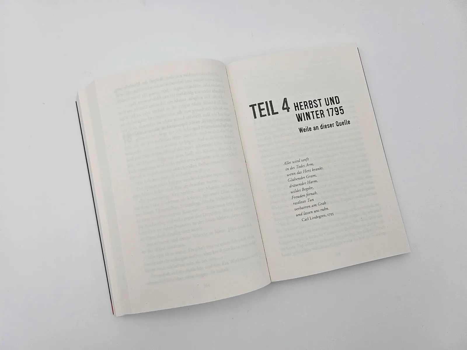 Bild: 9783492317955 | 1795 | Niklas Natt och Dag | Taschenbuch | Winge und Cardell ermitteln