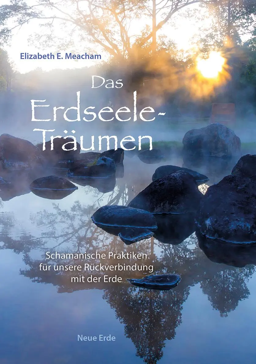 Cover: 9783890607955 | Das Erdseele-Träumen | Elizabeth E. Meacham | Taschenbuch | 272 S.