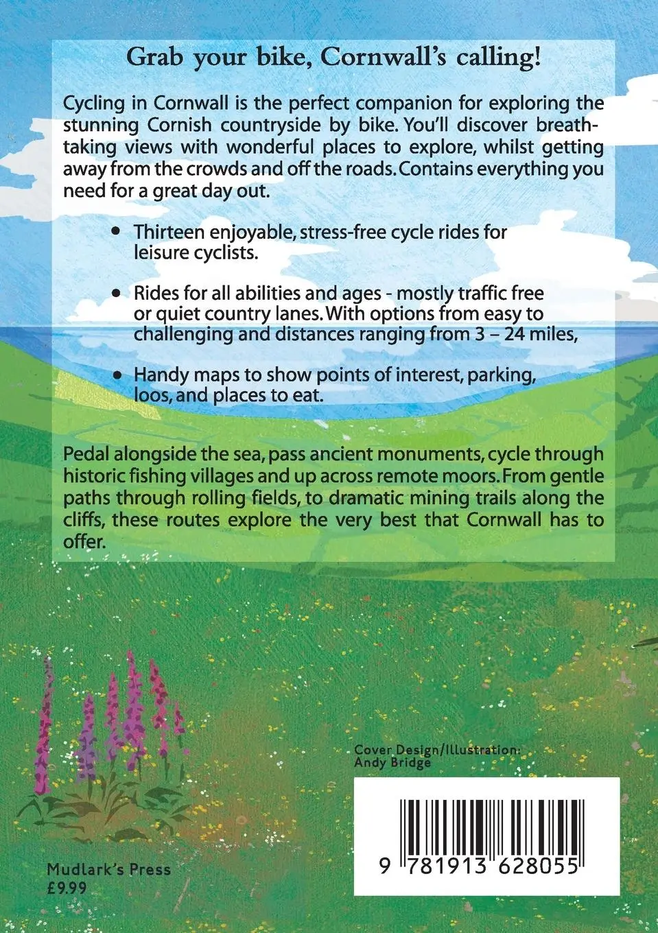 Rückseite: 9781913628055 | Cycling in Cornwall | Liz Hurley | Taschenbuch | Englisch | 2022