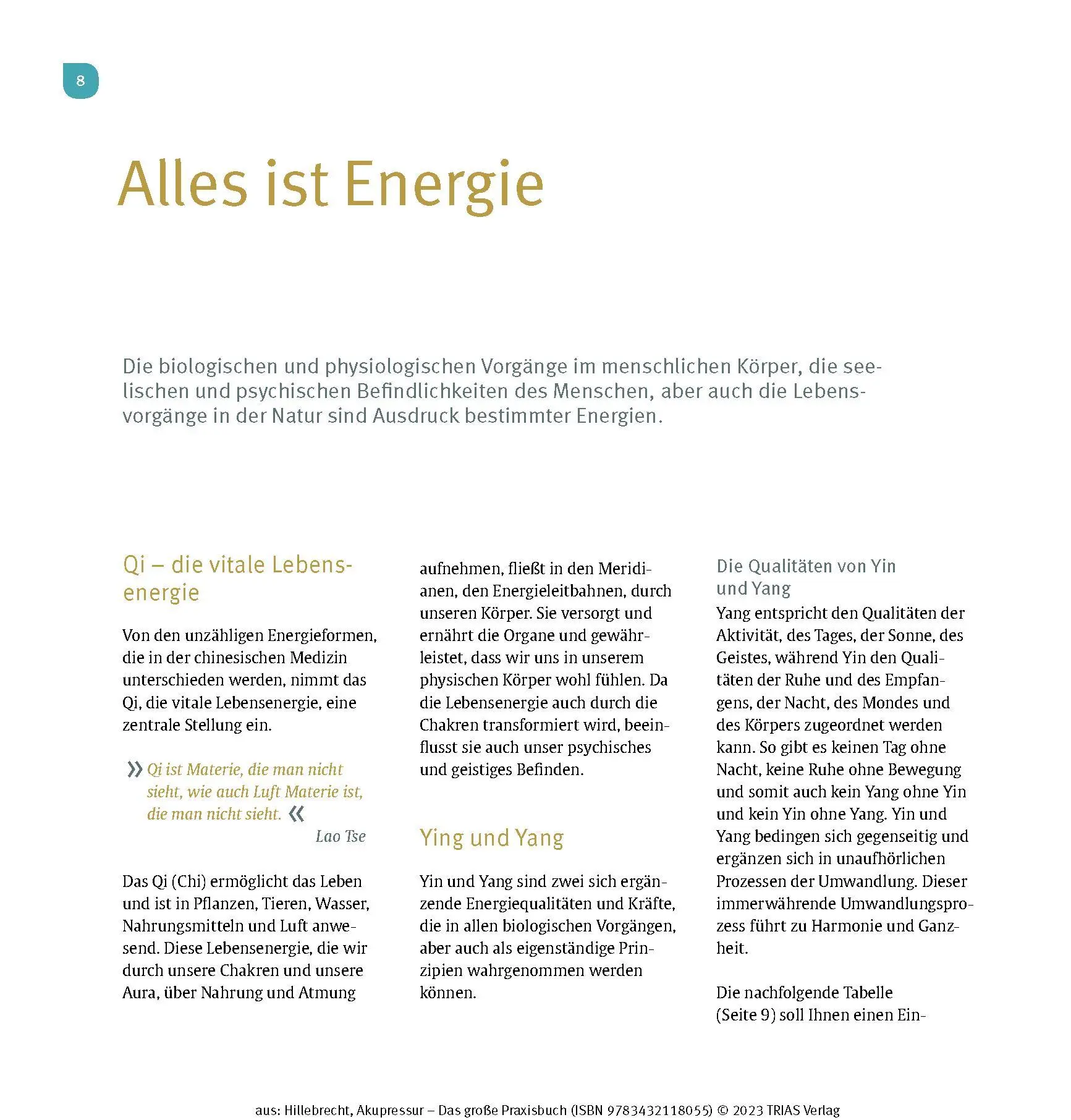 Bild: 9783432118055 | Akupressur - Das große Praxisbuch | Maitri Hillebrecht | Taschenbuch