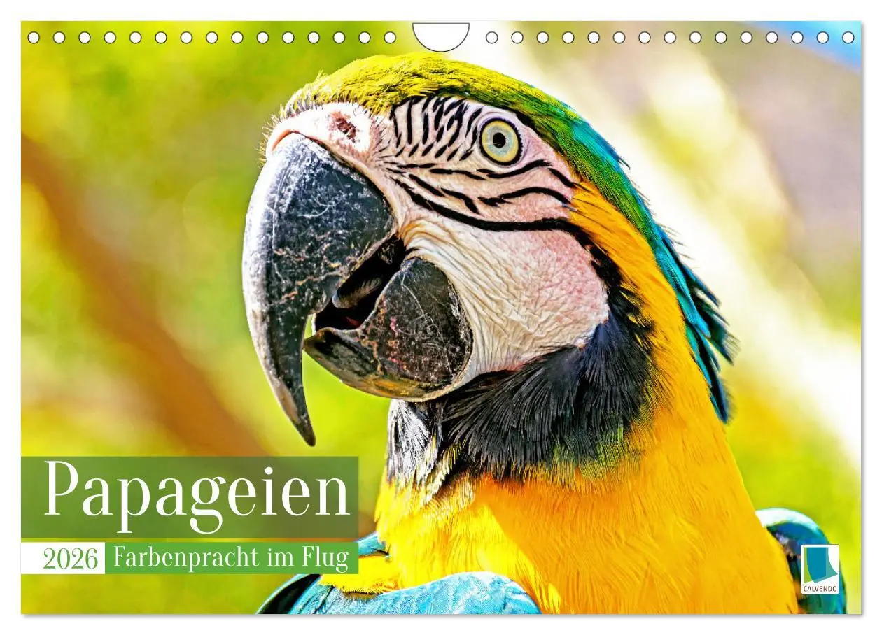 Cover: 9783457348055 | Papageien: Farbenpracht im Flug (Wandkalender 2026 DIN A4 quer),...