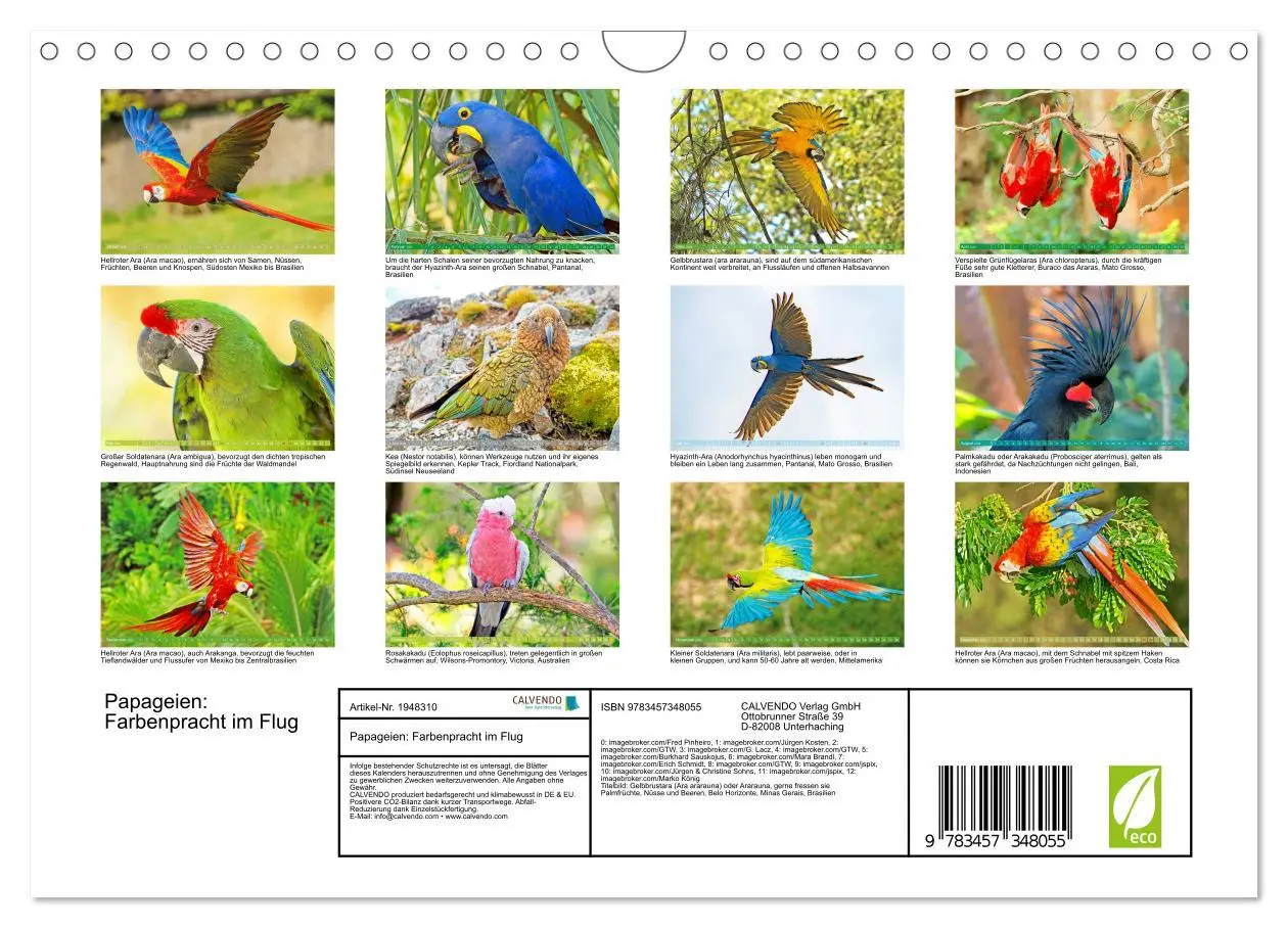 Bild: 9783457348055 | Papageien: Farbenpracht im Flug (Wandkalender 2026 DIN A4 quer),...