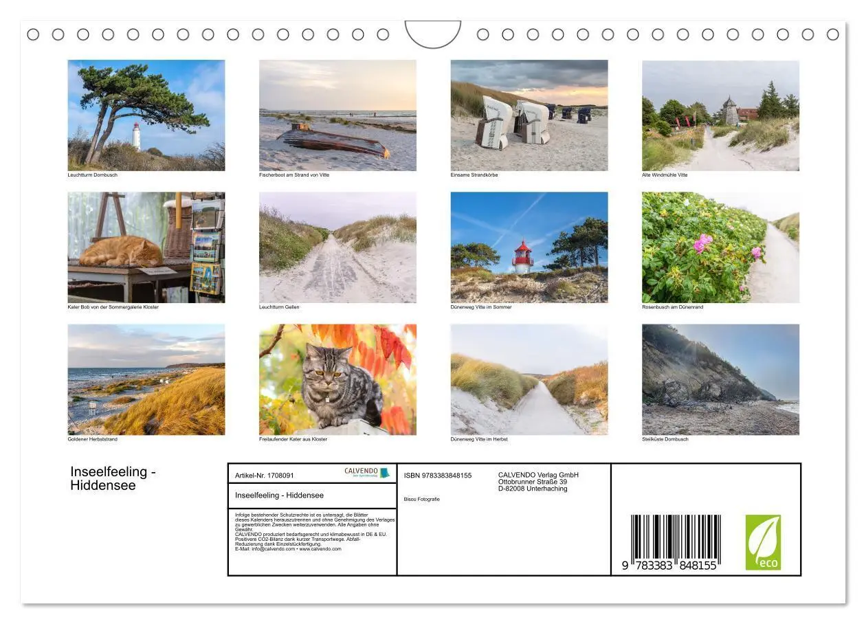 Bild: 9783383848155 | Inseelfeeling - Hiddensee (Wandkalender 2025 DIN A4 quer), CALVENDO...