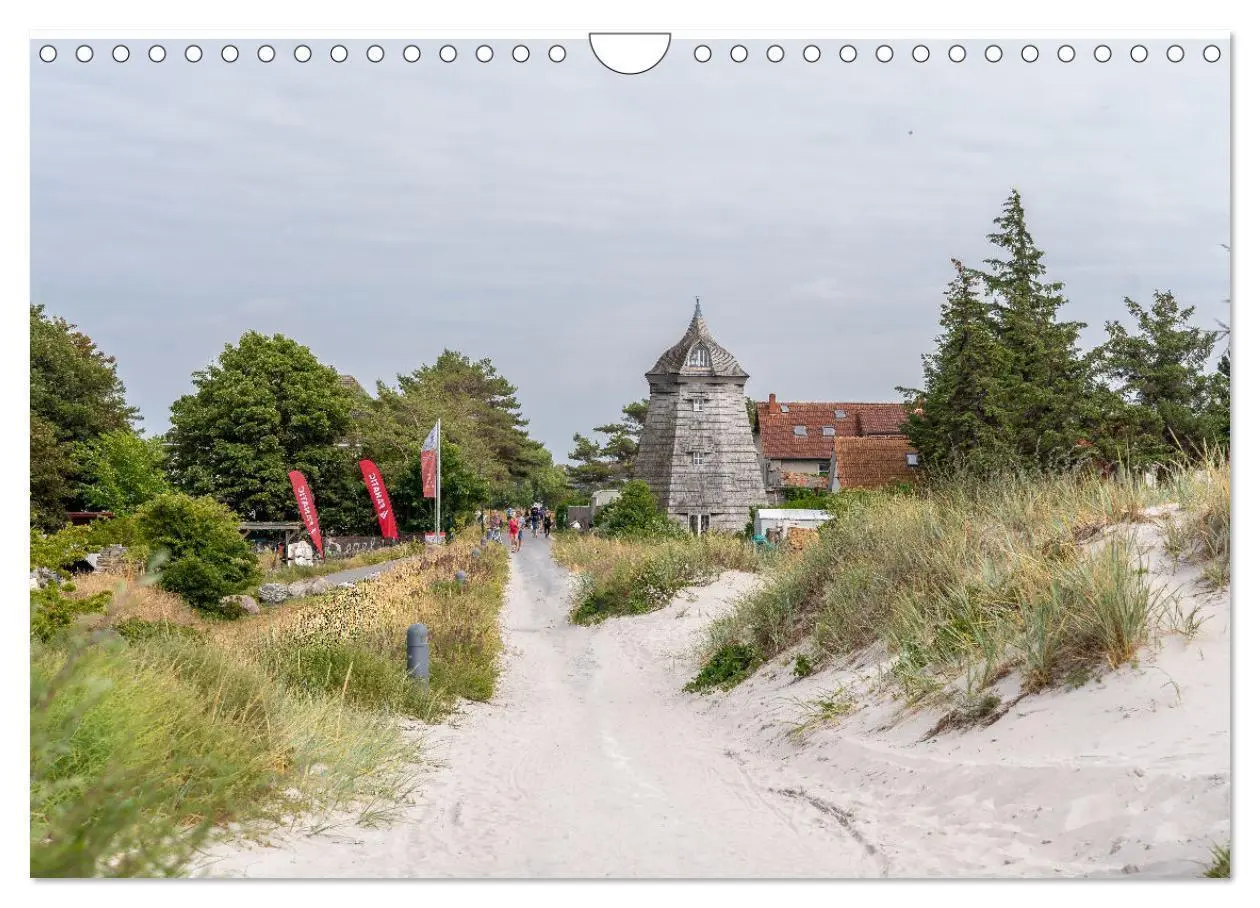 Bild: 9783383848155 | Inseelfeeling - Hiddensee (Wandkalender 2025 DIN A4 quer), CALVENDO...