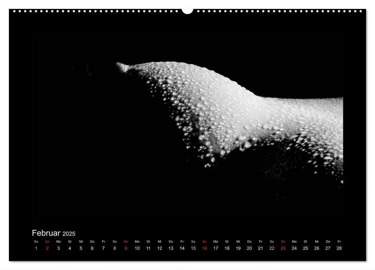 Bild: 9783435488155 | Erotische Körper (Wandkalender 2025 DIN A2 quer), CALVENDO...