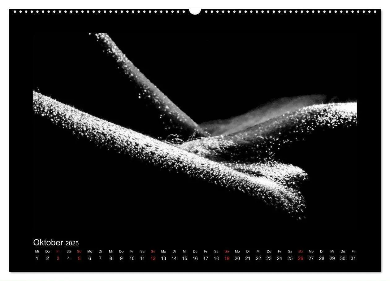 Bild: 9783435488155 | Erotische Körper (Wandkalender 2025 DIN A2 quer), CALVENDO...