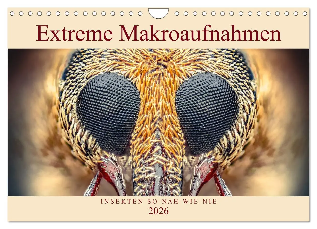 Cover: 9783457878255 | Extreme Makroaufnahmen - Insekten so nah wie nie (Wandkalender 2026...