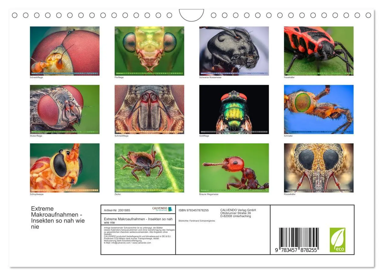Bild: 9783457878255 | Extreme Makroaufnahmen - Insekten so nah wie nie (Wandkalender 2026...