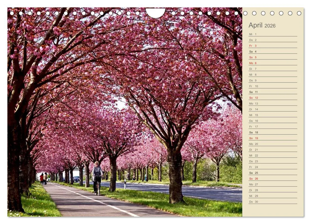 Bild: 9783457948255 | Magdeburg an der Elbe 2026 (Wandkalender 2026 DIN A4 quer),...