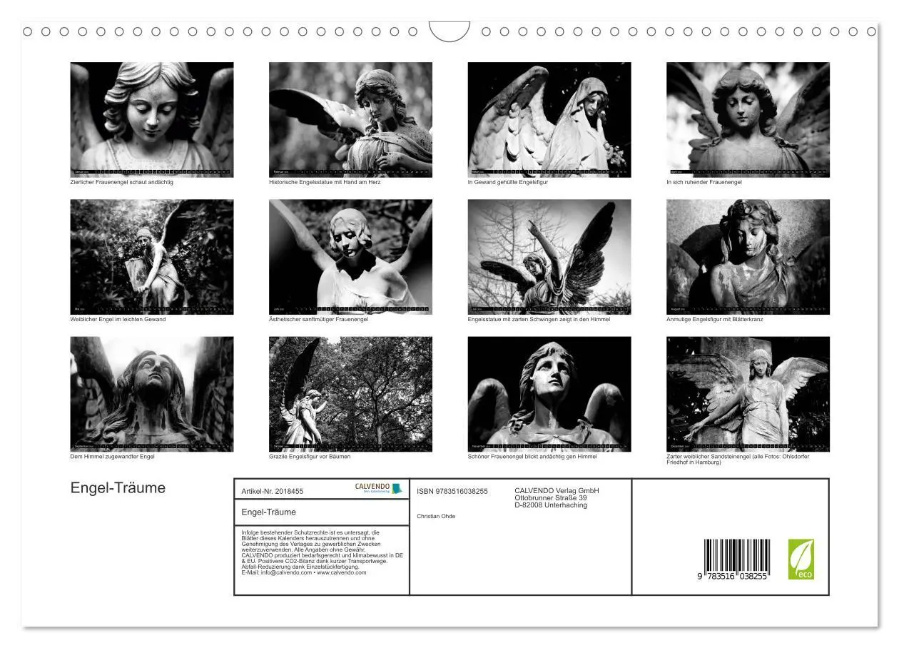 Bild: 9783516038255 | Engel-Träume (Wandkalender 2026 DIN A3 quer), CALVENDO Monatskalender