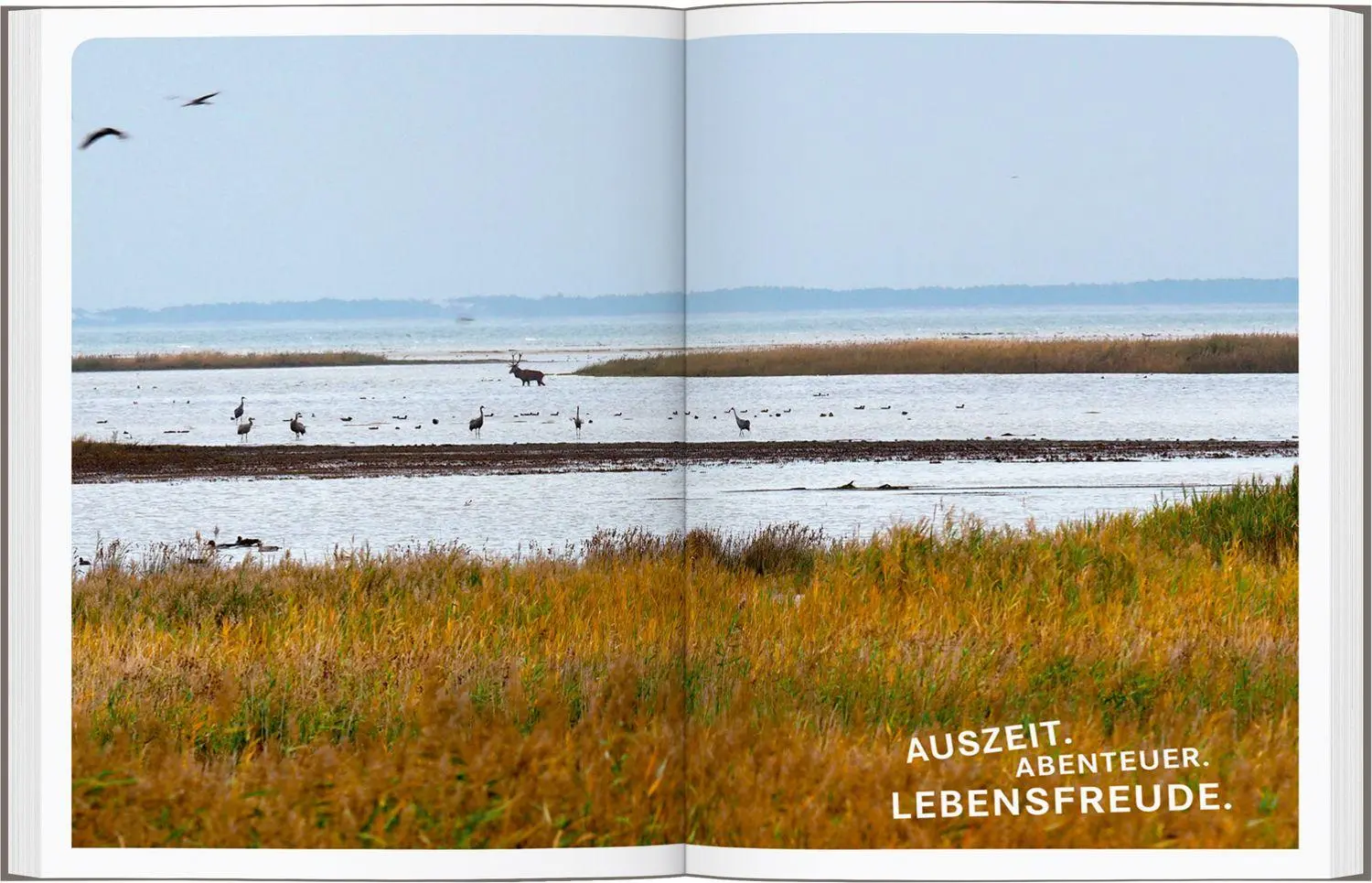 Bild: 9783616028255 | 52 kleine &amp; große Eskapaden - Wochenenden in Deutschland | Taschenbuch