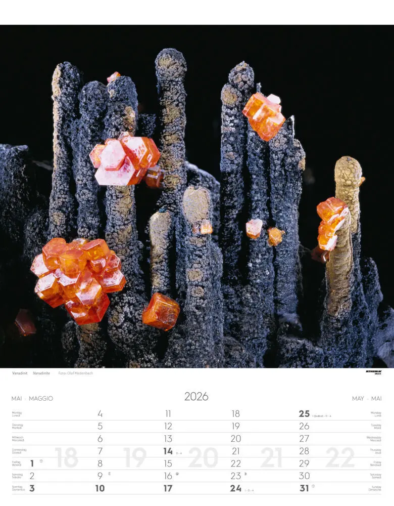 Bild: 9788868398255 | Mineralien Kalender 2026 | Minerali - Minerals | Verlag | Kalender