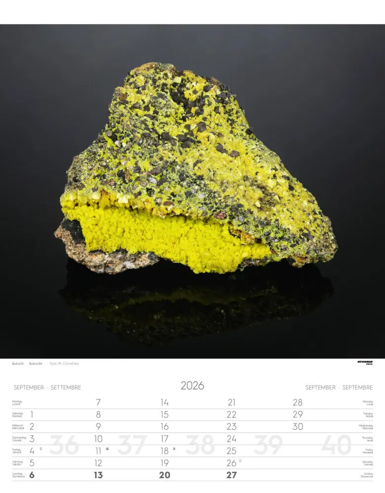 Bild: 9788868398255 | Mineralien Kalender 2026 | Minerali - Minerals | Verlag | Kalender
