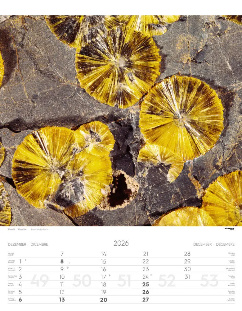 Bild: 9788868398255 | Mineralien Kalender 2026 | Minerali - Minerals | Verlag | Kalender