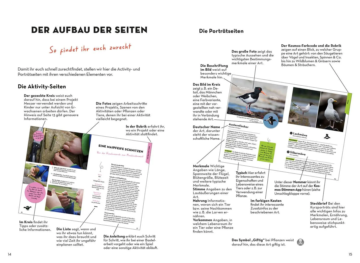 Bild: 9783440178355 | Familien-Naturführer | Katharina Hedder | Taschenbuch | 352 S. | 2024