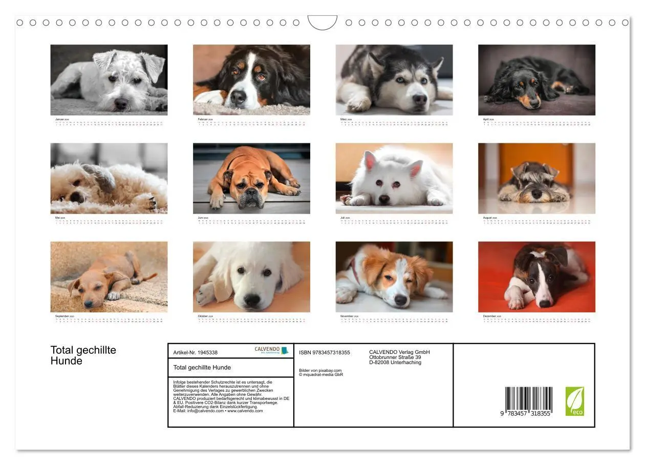 Bild: 9783457318355 | Total gechillte Hunde (Wandkalender 2026 DIN A3 quer), CALVENDO...