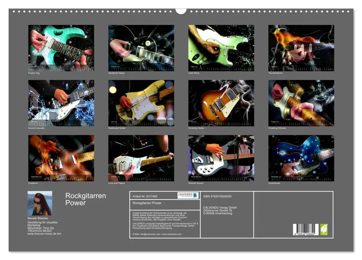 Bild: 9783516028355 | Rockgitarren Power (Wandkalender 2026 DIN A2 quer), CALVENDO...