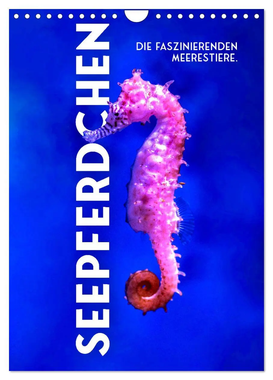 Cover: 9783516338355 | Seepferdchen - Die faszinierende Meerestiere. (Wandkalender 2026...