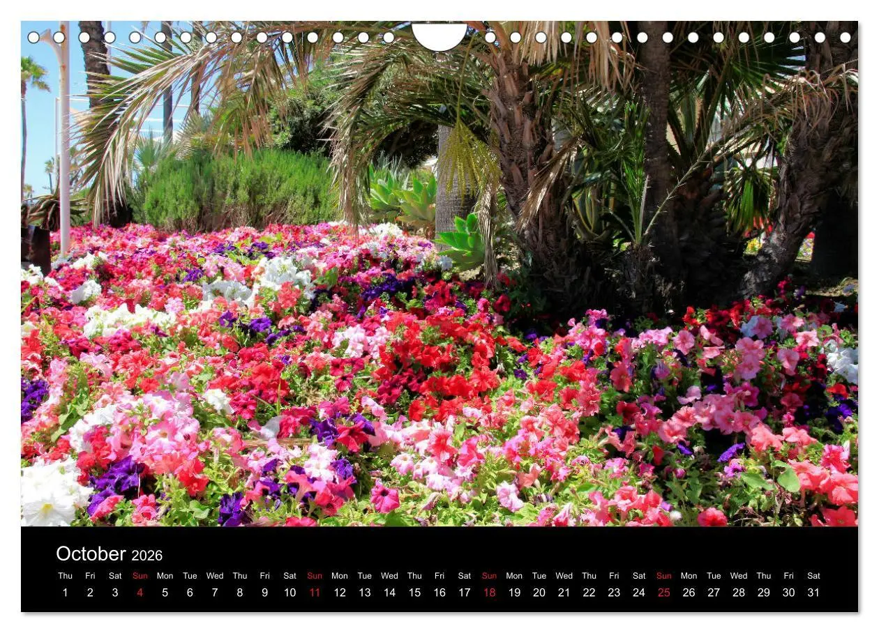Bild: 9783516568455 | Estepona Costa Del Sol (Wall Calendar 2026 DIN A4 landscape),...
