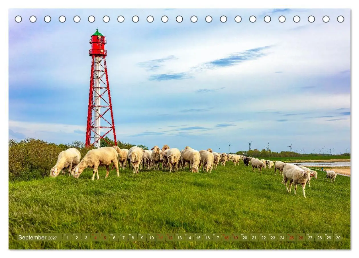 Bild: 9783569418455 | Die Deichschafe. Deichpflege an der Nordsee (Tischkalender 2027 DIN...