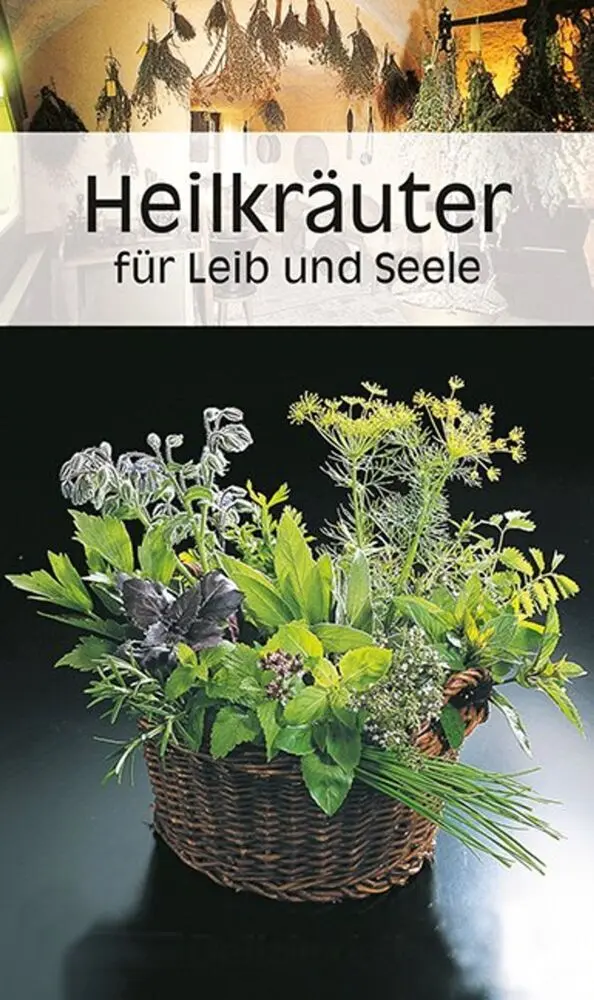 Cover: 9783854918455 | KOMPASS Küchenschätze Heilkräuter für Leib und Seele | Ursula Calis
