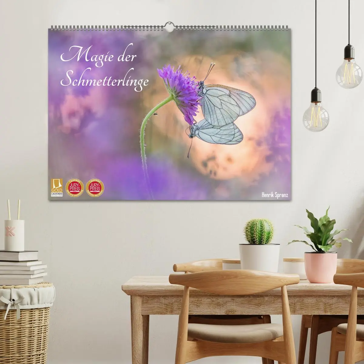 Bild: 9783457778555 | Magie der Schmetterlinge (Wandkalender 2026 DIN A2 quer), CALVENDO...