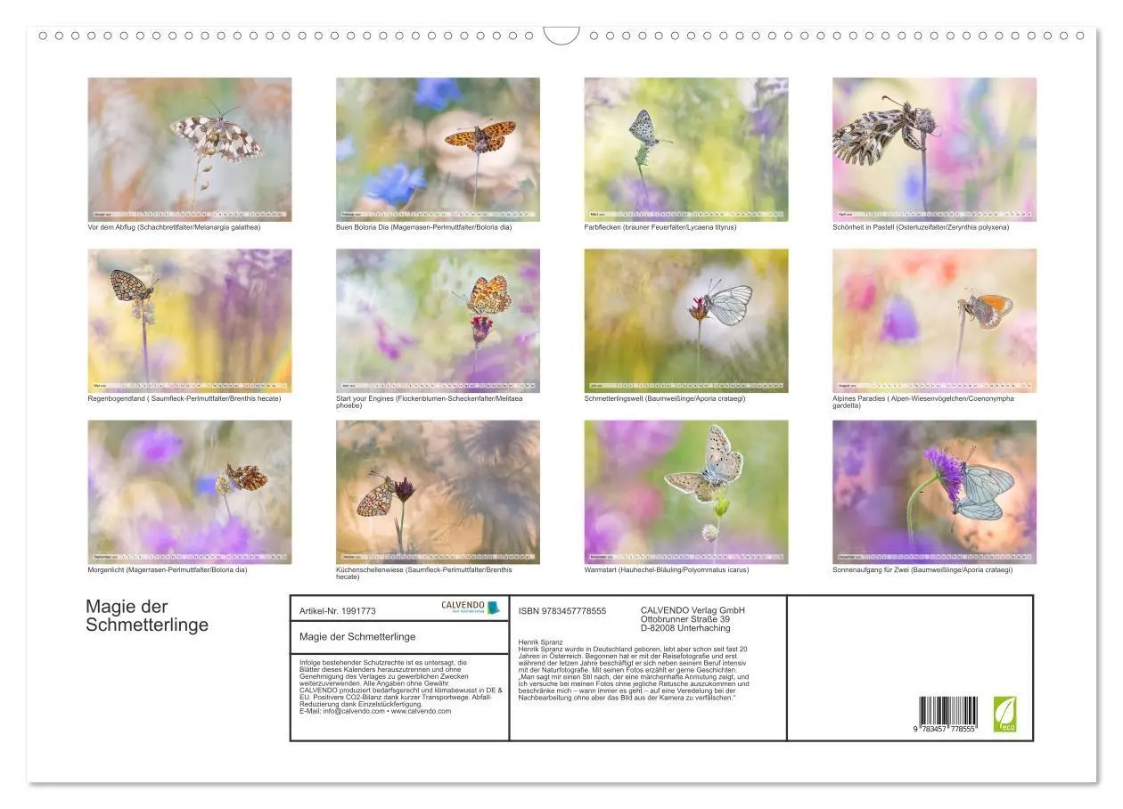 Bild: 9783457778555 | Magie der Schmetterlinge (Wandkalender 2026 DIN A2 quer), CALVENDO...