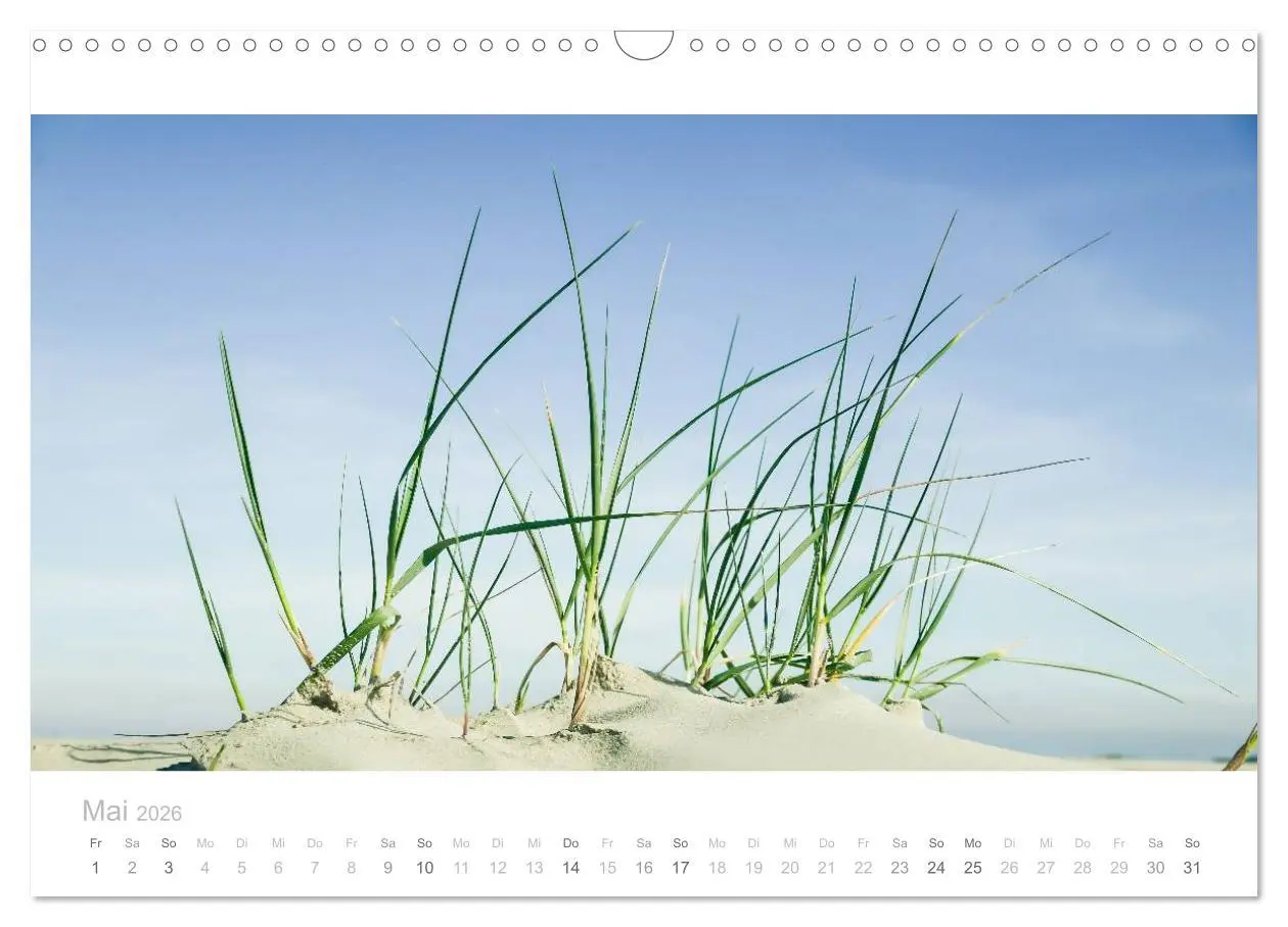 Bild: 9783516008555 | Einfach Borkum (Wandkalender 2026 DIN A3 quer), CALVENDO...