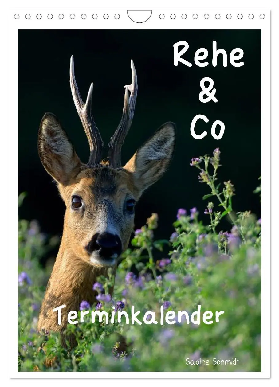 Cover: 9783516488555 | Rehe &amp; Co / Planer (Wandkalender 2026 DIN A4 hoch), CALVENDO...